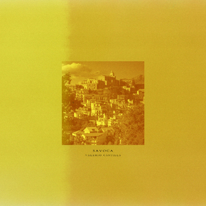 江疏影的小视频
